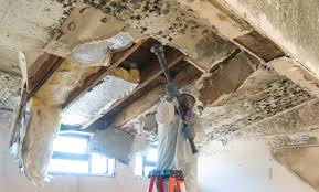 Best Asbestos and Lead Testing During Mold Inspection  in Dubach, LA